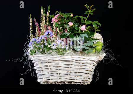 Bunter Strauß von verschiedenen Blumen auf weiß in einem hölzernen Korb Stockfoto