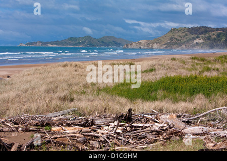 Pazifik, Treibholz und Strand, mit Blick in Richtung Wainoe Strand und Gisborne, Nordinsel, Neuseeland. Stockfoto