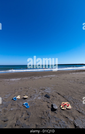 Strand-Zeug auf Fuerteventura, Spanien Stockfoto