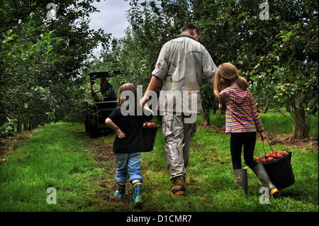 Apfelwein Herstellung in Broome Farm in der Nähe von Ross-on-Wye UK wo gibt es freie Campen und Verkostung zu freiwilligen Apple Picker Stockfoto