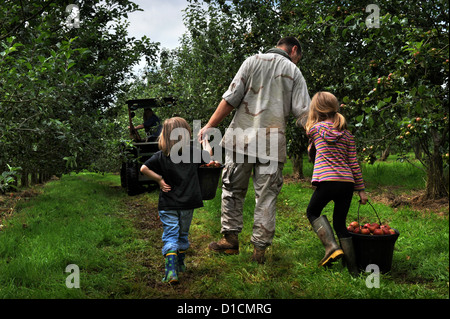 Apfelwein Herstellung in Broome Farm in der Nähe von Ross-on-Wye UK wo gibt es freie Campen und Verkostung zu freiwilligen Apple Picker Stockfoto