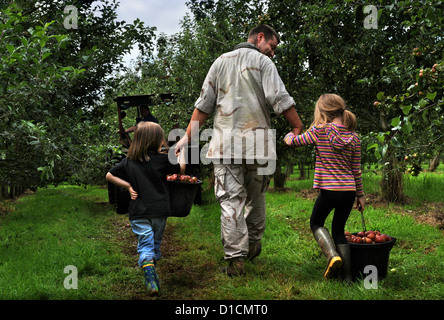 Apfelwein Herstellung in Broome Farm in der Nähe von Ross-on-Wye UK wo gibt es freie Campen und Verkostung zu freiwilligen Apple Picker Stockfoto