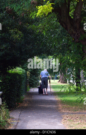 Ein älterer Mann geht durch einen von Bäumen gesäumten Straße in Letchworth, die weltweit erste Gartenstadt von Ebenezer Howard entworfen Stockfoto