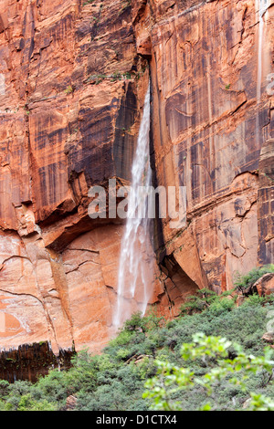 Wasserfall am oberen Emerald Pool, Zion NP, Utah Stockfoto