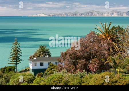 Hawke's Bay, Norfolk-Kiefern, Palmen, Napier, Nordinsel, Neuseeland. Stockfoto