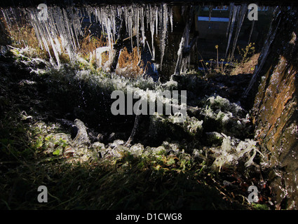Eiszapfen schmelzen im Winter Sonne Stockfoto