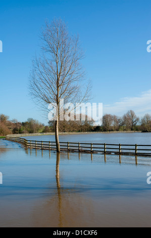Hochwasser im November 2012 an der Ouse Valley Park, Milton Keynes, Buckinghamshire, Großbritannien. Stockfoto