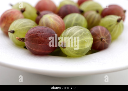 Nauen, Deutschland, Frische Stachelbeeren auf einem Teller Stockfoto