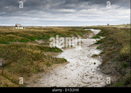 Bei Ebbe wird Schlamm in einem Bach im atmosphärischen Tollesbury Saltings in Essex freigelegt. Stockfoto