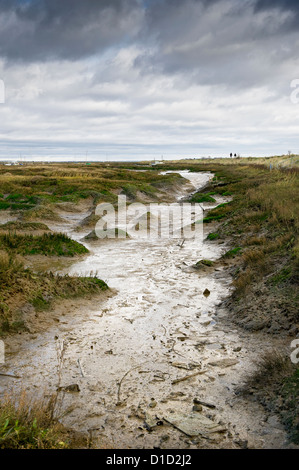 Bei Ebbe wird Schlamm in einem Bach im atmosphärischen Tollesbury Saltings in Essex freigelegt. Stockfoto