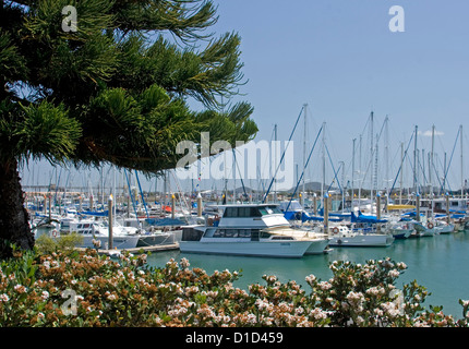 Boote im Hafen von Gladstone Stockfoto