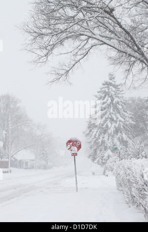 Ein Stop-Schild in einem Schneesturm in Minneapolis. Stockfoto