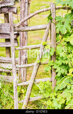 Natürliches hölzernes Tor und Zaun typisch für alte schwedische ländliche Kultur Stockfoto