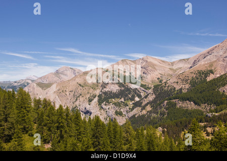 Die Südalpen im Parc national du Mercantour in der Nähe von Allos. Stockfoto