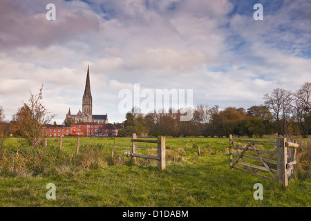 Kathedrale von Salisbury und den Westen Harnham Strandwiesen in Wiltshire, England. Stockfoto