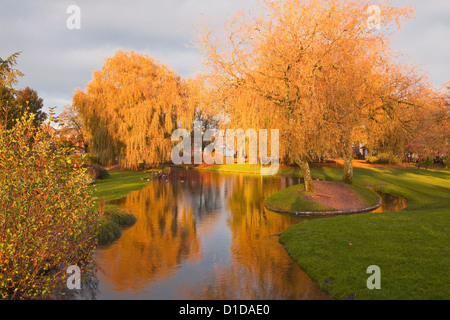 Elizabeth Gardens Park in der Stadt von Salisbury. Stockfoto