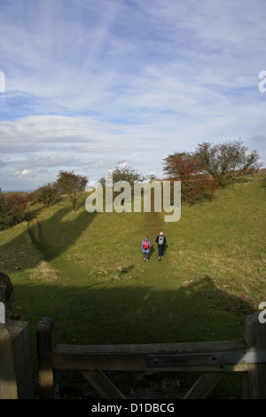 NT Büschel Farm auf die Cotswold Weg im Schatten der Broadway Tower Stockfoto