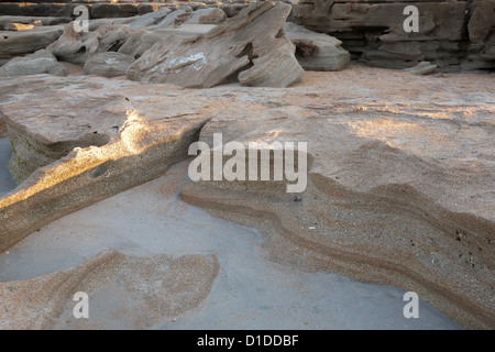 Geschichteten Coquina Felsformationen entlang Küste des Atlantischen Ozeans im Washington Eichen Gärten State Park in Florida, USA Stockfoto