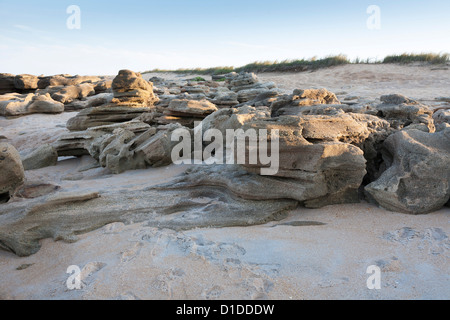 Coquina Felsformationen entlang Küste des Atlantischen Ozeans im Washington Eichen Gärten State Park in Florida, USA Stockfoto