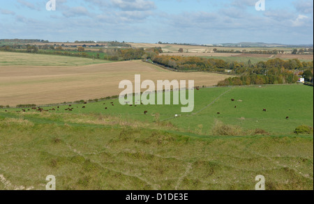 Blick auf Ackerland in der Nähe von Old Sarum Wiltshire England UK Stockfoto