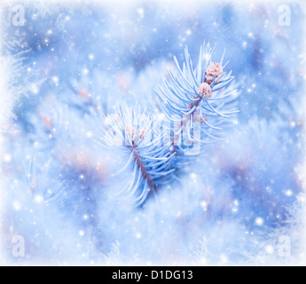Foto von Winter-Blick vom Fenster, natürlichen blauen Hintergrund, Weihnachtsbaum Zweig bedeckt mit kalter Raureif, Schneefall im freien Stockfoto