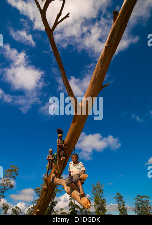 Mount Hagen Sing sing Festival, Hochland, Papua Neuguinea Stockfoto