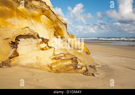 Ein Blick auf Sandstein-Felsformation auf Baylys Beach, Northland, Nordinsel, Neuseeland. Stockfoto
