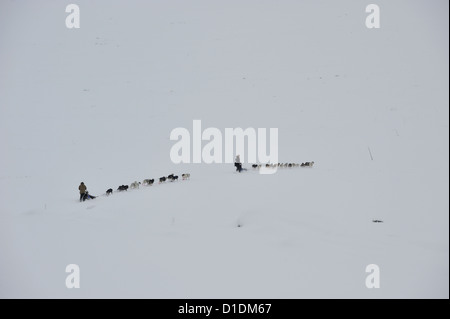 Schlittenhunde ziehen Schlitten über große Schneefall Pistengebiet im Nationalpark Hardangervidda Stockfoto