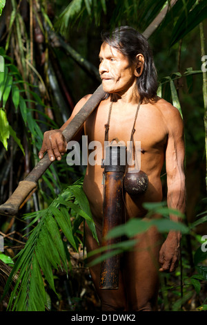 Typische Huaorani Jäger Portrait Waorani finden Yasuni National Park Ecuador Schießen Im Dschungel in Umgebungslicht Stockfoto