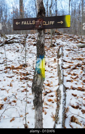 Blaze Trail entlang der Klippe Frankenstein in den White Mountains, New Hampshire, USA Stockfoto