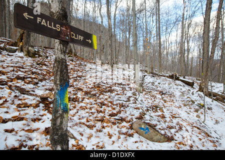 Blaze Trail entlang der Klippe Frankenstein in den White Mountains, New Hampshire, USA Stockfoto