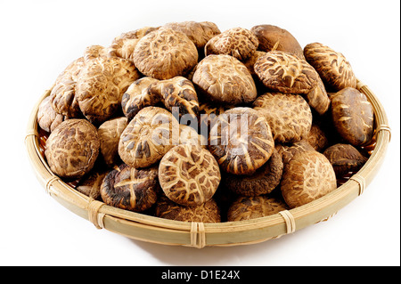 getrocknete Shiitake-Pilze in Korb Stockfoto