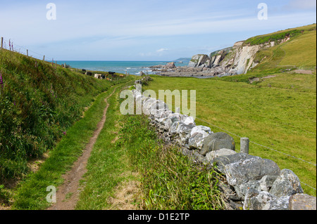 Öffentlichen Wanderweg führt zum Meer bei Ayrmer Cove, Devon, England, UK Stockfoto