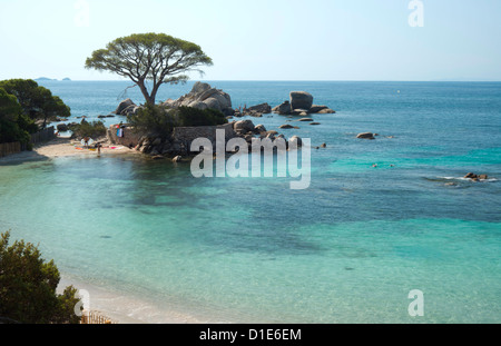 Palombaggia Strand in der Nähe von Porto-Vecchio, Korsika, Frankreich, Mittelmeer, Europa Stockfoto