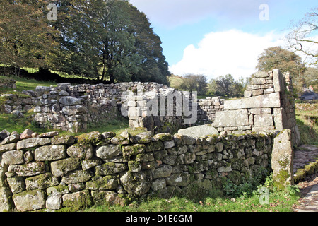 Zerstörten Mauern eines ehemaligen mittelalterlichen Dorfes am Challacombe, Dartmoor, Devon, England, Vereinigtes Königreich, Europa Stockfoto