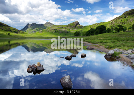 Blea Tarn und Langdale Pikes, Nationalpark Lake District, Cumbria, England, Vereinigtes Königreich, Europa Stockfoto