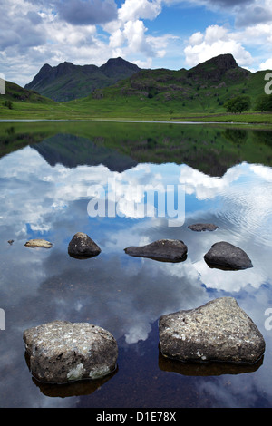 Blea Tarn und Langdale Pikes, Nationalpark Lake District, Cumbria, England, Vereinigtes Königreich, Europa Stockfoto