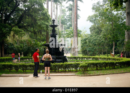 Jardim Botanico (Botanischer Garten), Rio De Janeiro, Brasilien, Südamerika Stockfoto