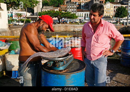 Fischer auf den alten Hafen, Salvador, Bahia, Brasilien, Südamerika Stockfoto