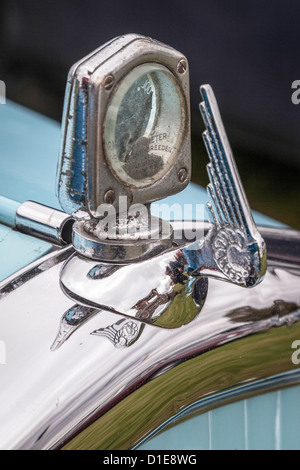Nahaufnahme des alten Wolsley Automobil emblem Stockfoto