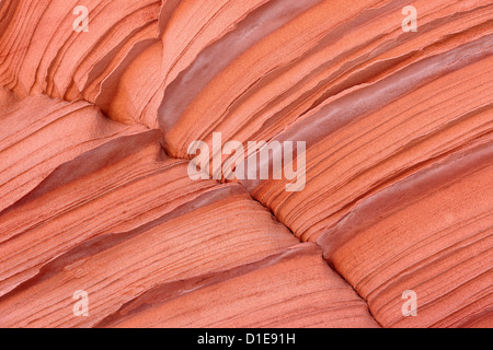 Sandsteinschichten, Vermillion Cliffs National Monument, Arizona, Vereinigte Staaten von Amerika, Nordamerika Stockfoto