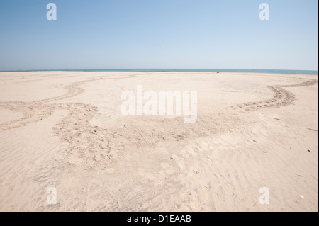 Kreisbahn von Schildkröten zur Eiablage in den Sand vor der Tür und Rückkehr zum Meer, Küste, Odisha, Orissa, Indien, Asien gemacht Stockfoto