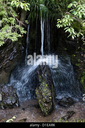 Ein 'Karpfenstein' unter dem Ryomon-baku Wasserfall in den Gärten von Kinkaku-ji (Tempel des Goldenen Pavillons), Kyoto, Japan Stockfoto