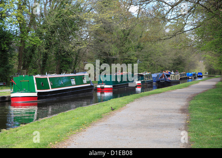 Schmale Boote, Pontcysyllte Kanal, Llangollen, Dee Valley, Denbighshire, Nord Wales, Wales, Vereinigtes Königreich, Europa Stockfoto