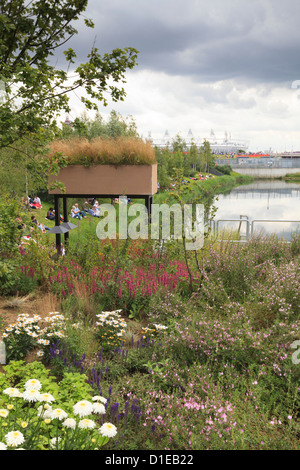 Wilde Blumen im Olympiapark, Stratford City, London, England, Vereinigtes Königreich, Europa Stockfoto