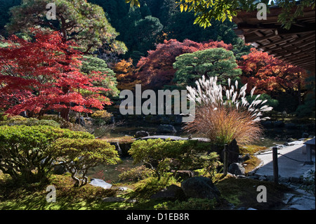 Herbstlaub in den Gärten rund um den Ginkaku-ji Tempel (Jisho-ji oder der Silberne Pavillon) in Kyoto, Japan Stockfoto