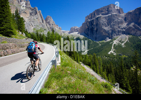 Radfahrer, Sellajoch, Trient und Bozen Provinzen, Trentino Alto Adige/Südtirol, Dolomiten, Italien, Europa Stockfoto