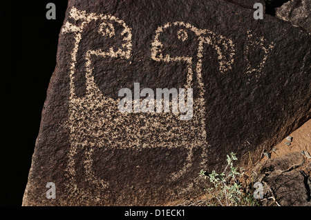 Zweiköpfige Ziege in Jornada Mogollon Stil Felszeichnungen an drei Flüssen Petroglyph Site, in der Nähe von Sierra Blanca, New Mexico, USA Stockfoto