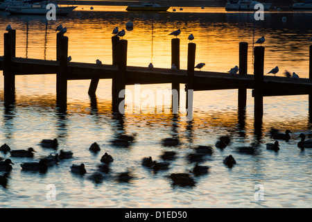 Waterhead am Lake Windermere in Ambleside, Seenplatte bei Sonnenuntergang, UK. Stockfoto