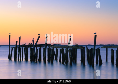 Sonnenaufgang über dem alten jety in Provincetown auf Cape Cod, Massachusetts Stockfoto